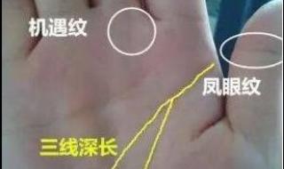 食指比无名指长为什么女性