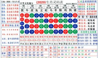 2022虎年介绍