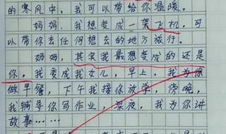 写老师技艺高超的作文50字左右